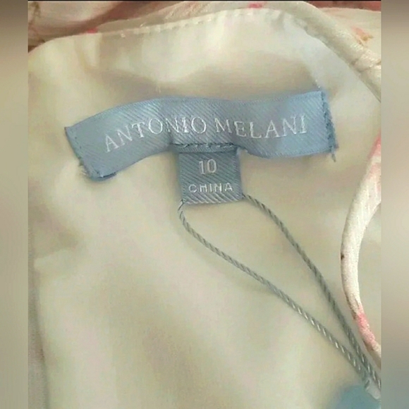 Cottage Prairie Rose Floral Formal Ruffle Corset Fairy Events Dress New - Picture 6 of 8